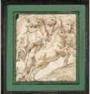 Etudes Des Chevaux by Domenico Campagnola