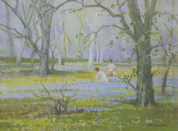 In The Bluebell Woods - view 1
