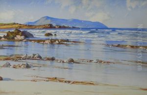 Whale Island, Sound Of Hoy, Wet Sands Hebrides by Thomas, of Pall Mall Butler
