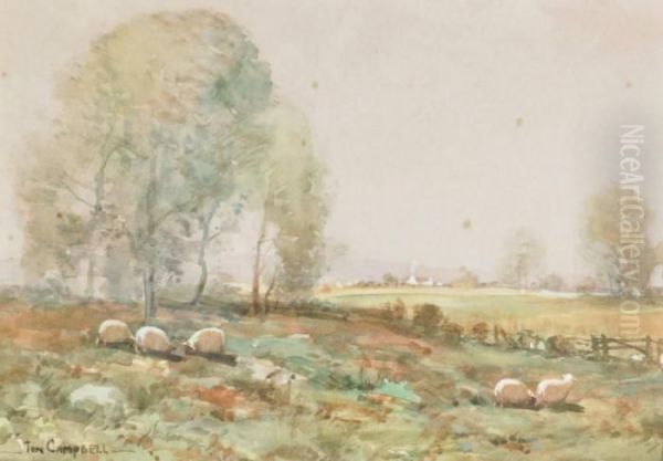 Sheepin Extensive Landscape - view 1