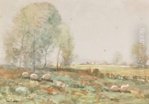 Sheepin Extensive Landscape Sheepin Extensive Landscape