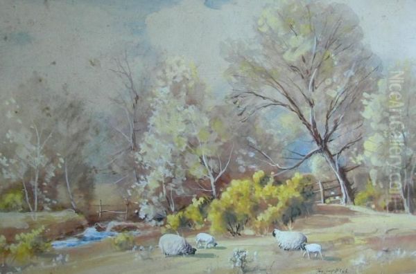 Springtime Near Pinwherry - view 1
