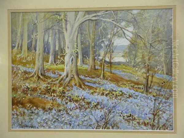 Blue Bell Woods - view 1