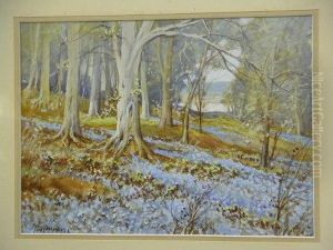 Blue Bell Woods Blue Bell Woods