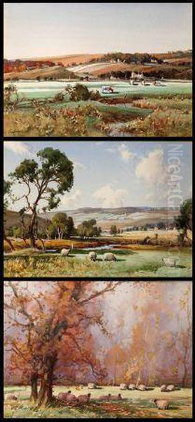 Sheep And Cattle Grazing In Country Landscapes - view 1
