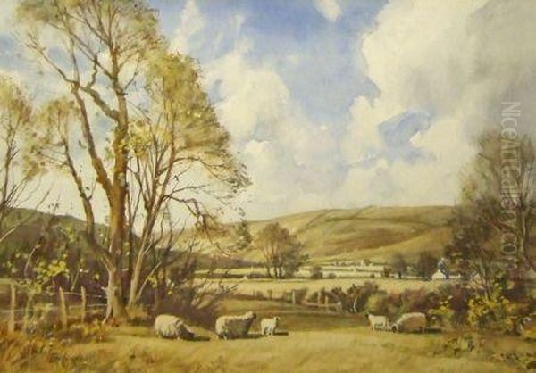 Springtime Near Pinwherry - view 1