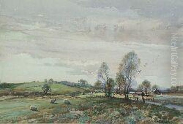 Cattle And Sheep Grazing - view 1