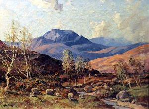 Spring Crianlarich Spring Crianlarich