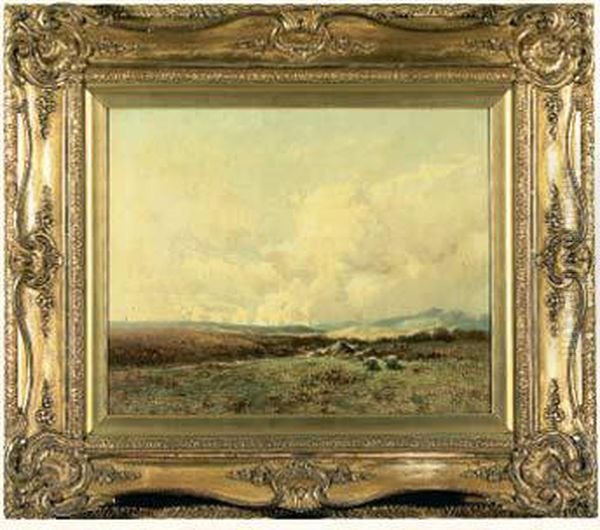 Paysage Des Highlands - view 1