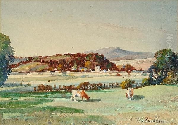 Killarnie - view 1