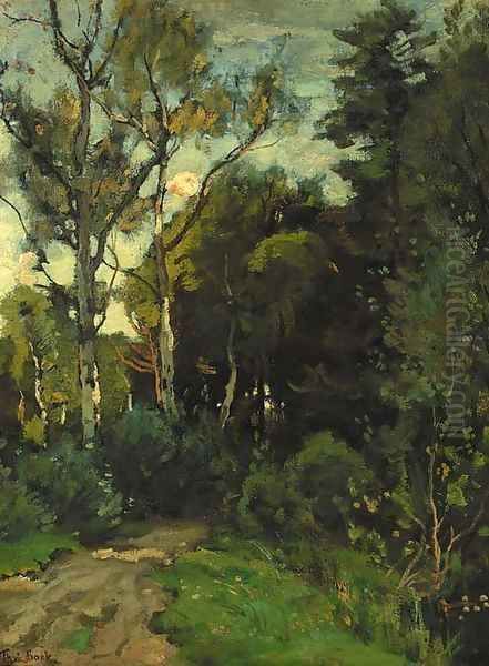 A sunlit birch forest - view 1