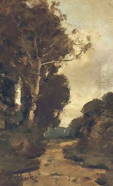 Boschrand view in a forest - view 1