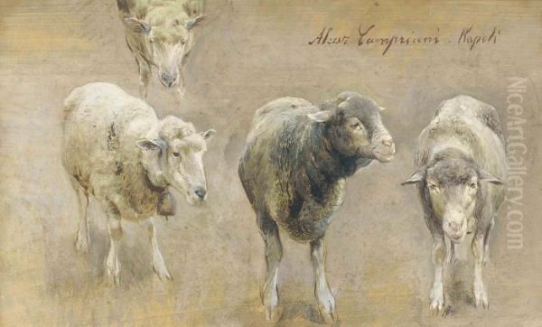Sheep Studies - view 1