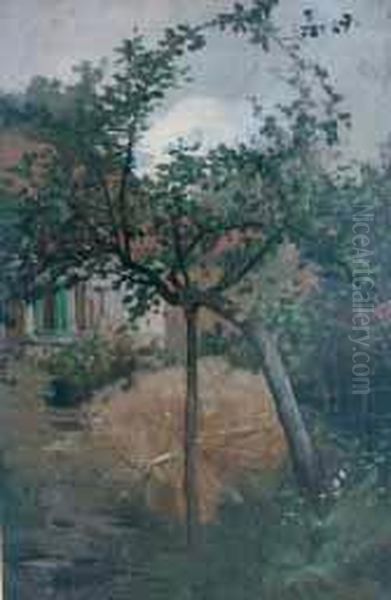 Alberi Cadenti - view 1