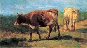 Mucche Al Pascolo by Alceste Campriani