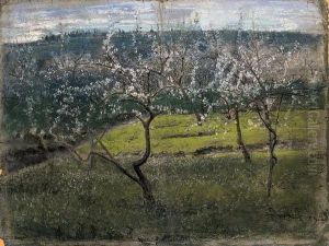 Mandorli In Fiore