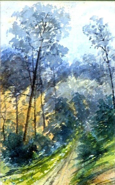 "camino En El Bosque" - view 1