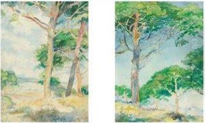 Paisajes Con Pinos