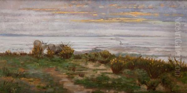 'riposo"" - view 1