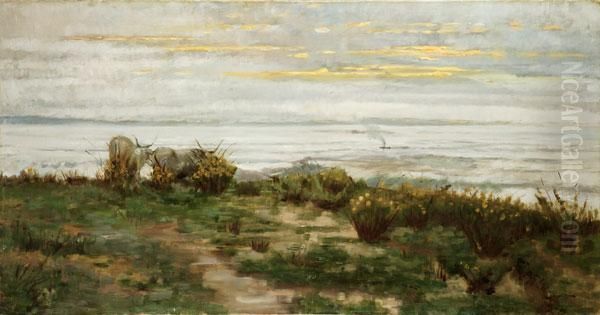 Marina Con Buoi Al Pascolo - view 1