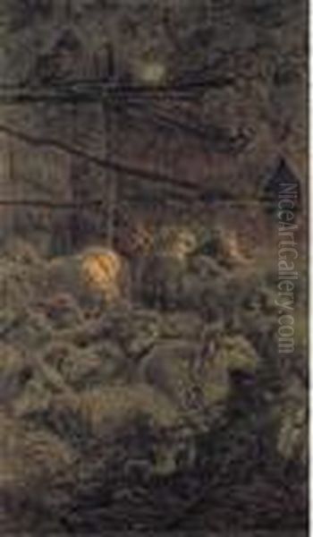 Ovile - view 1