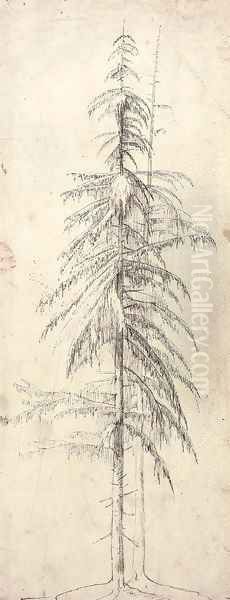 Two larches - view 1