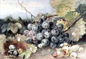 Grapes and Strawberries Grapes and Strawberries
