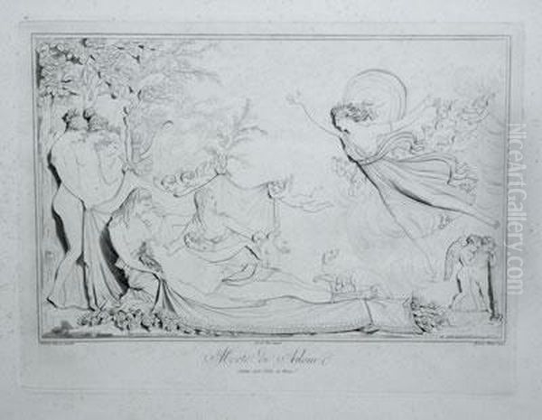 Morte Di Adone - view 1