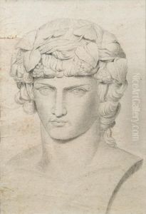 Studio Di Busto Classico (bacco)