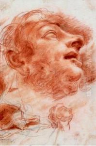 Studio Di Testa by Domenico Maria Canuti