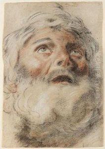 Head Of A Bearded Man Looking Upwards