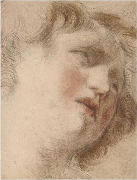 Head Of A Young Man Looking Up - view 1