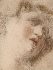 Head Of A Young Man Looking Up Head Of A Young Man Looking Up