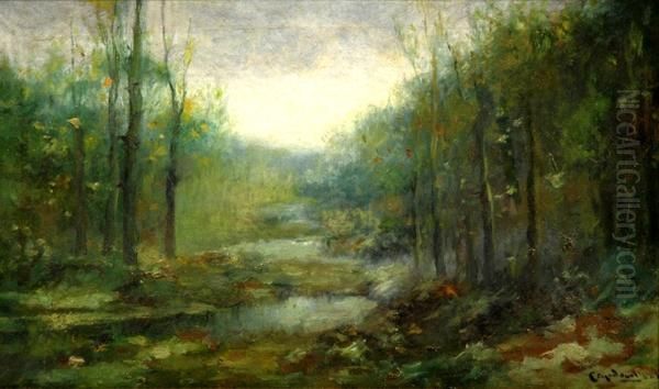 Paisaje - view 1