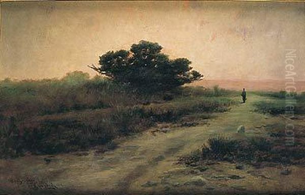Paisaje - view 1