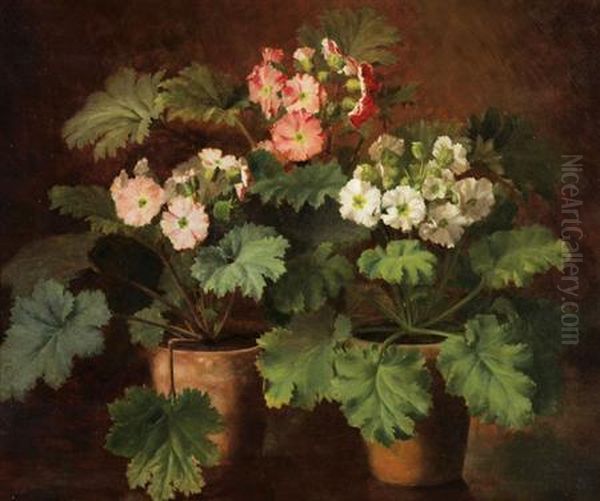 Belgian - Still Life With Pottedplants - view 1