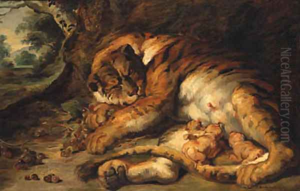 Tiger with Cubs - view 1