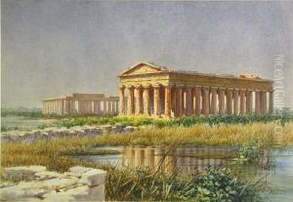 The Ruins At Paestum, Italy - view 1