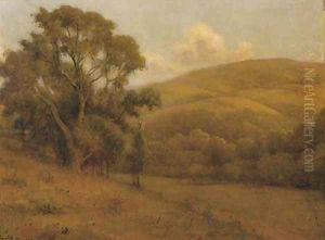 Evening Sunshine, California