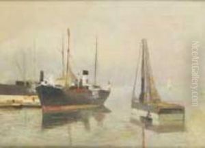 Marina Con Draga E Piroscafo