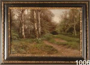 Paesaggio Boschivo. by Francesco Capuano