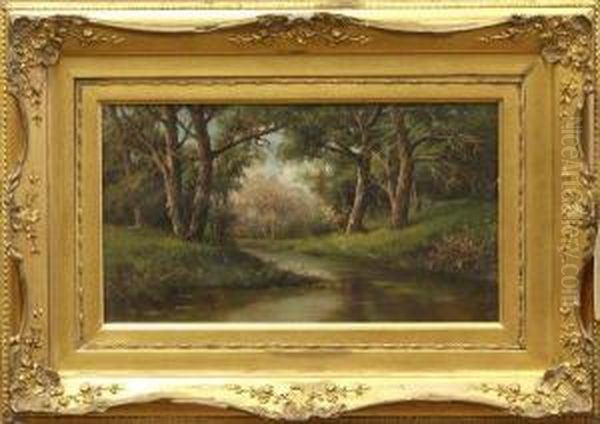 The Woods Of Capo De Monte - view 1