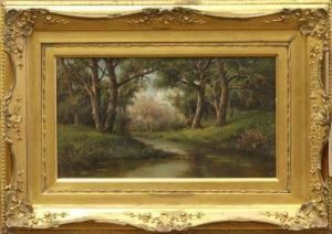 The Woods Of Capo De Monte by Francesco Capuano