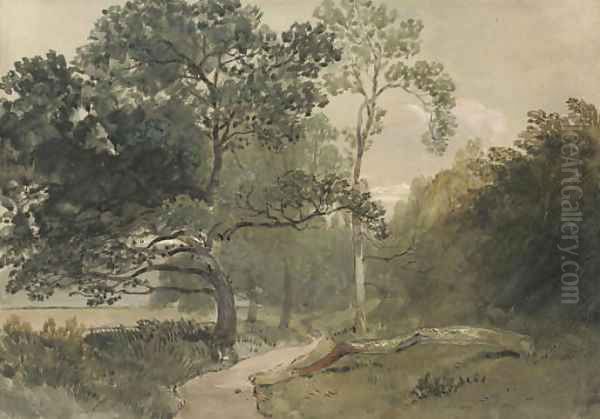 A tree-lined lane - view 1