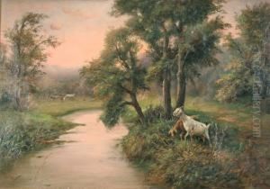 Paesaggio Fluviale Con Caprette