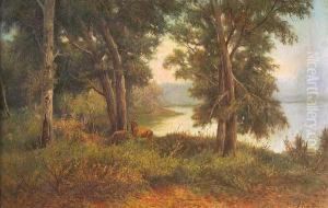 Escena De Bosque Con Ciervos Escena De Bosque Con Ciervos