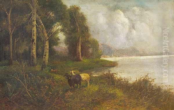 Escena De Bosque Con Cabras - view 1