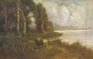 Escena De Bosque Con Cabras
