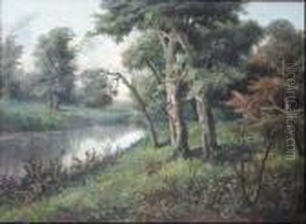 Paesaggio Alberato - view 1