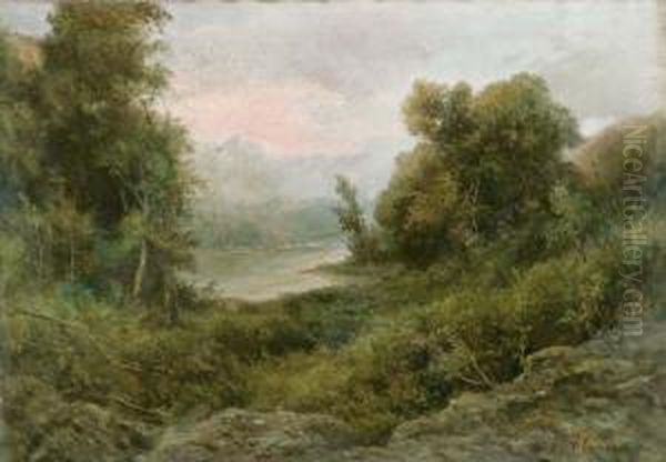 Scorcio Di Lago - view 1